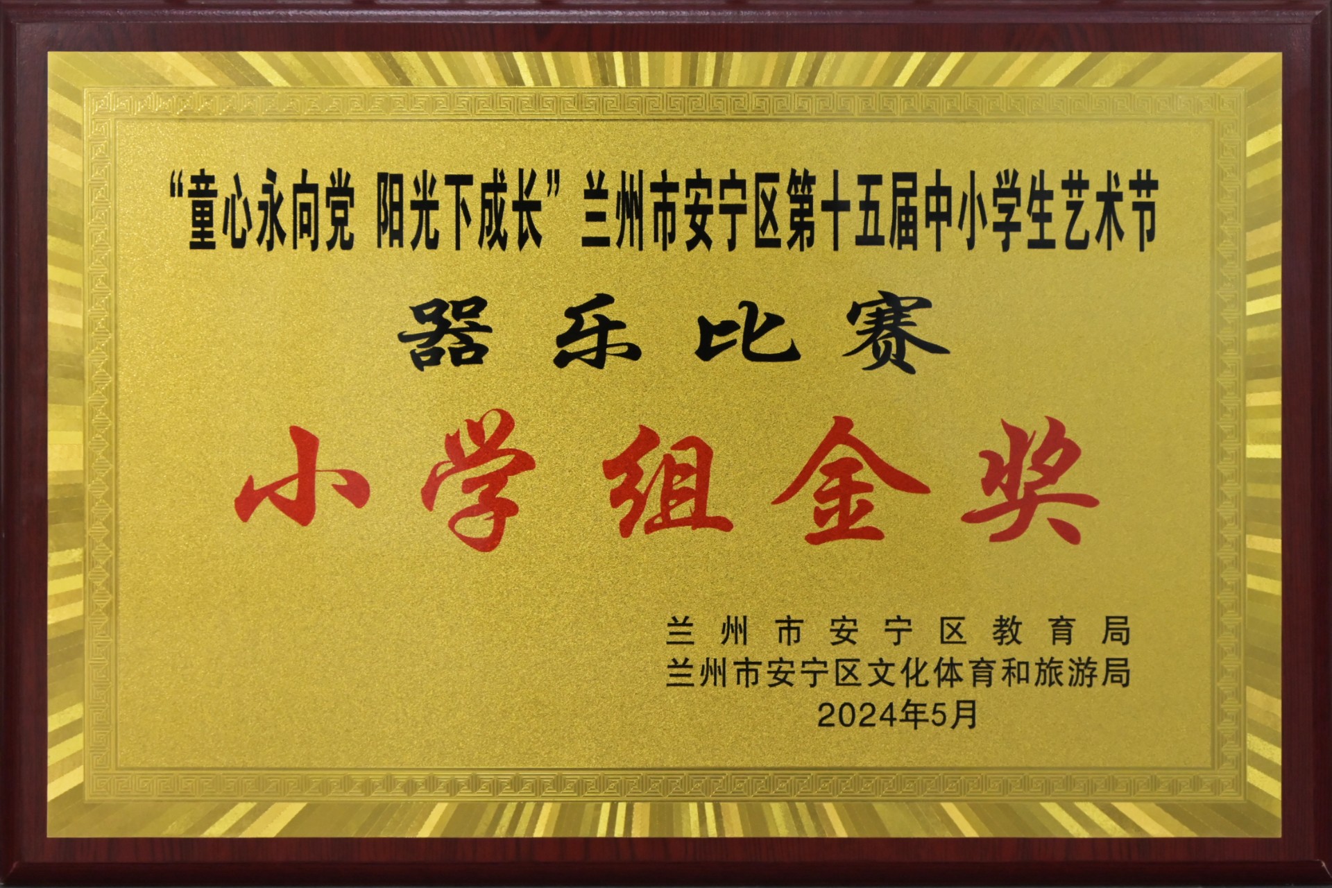 安宁区中小学艺术节器乐比赛小学组金奖