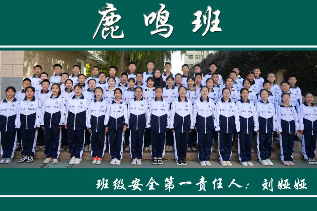 兰州东方学校（初中部）班级文化建设成果展