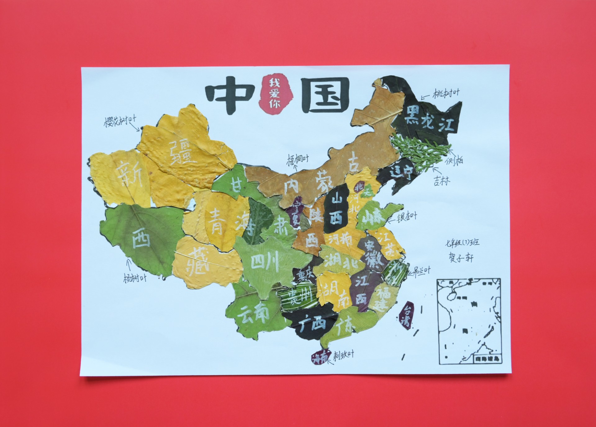 兰州东方学校（初中部）举行“第八届创意落叶标本设计大赛”