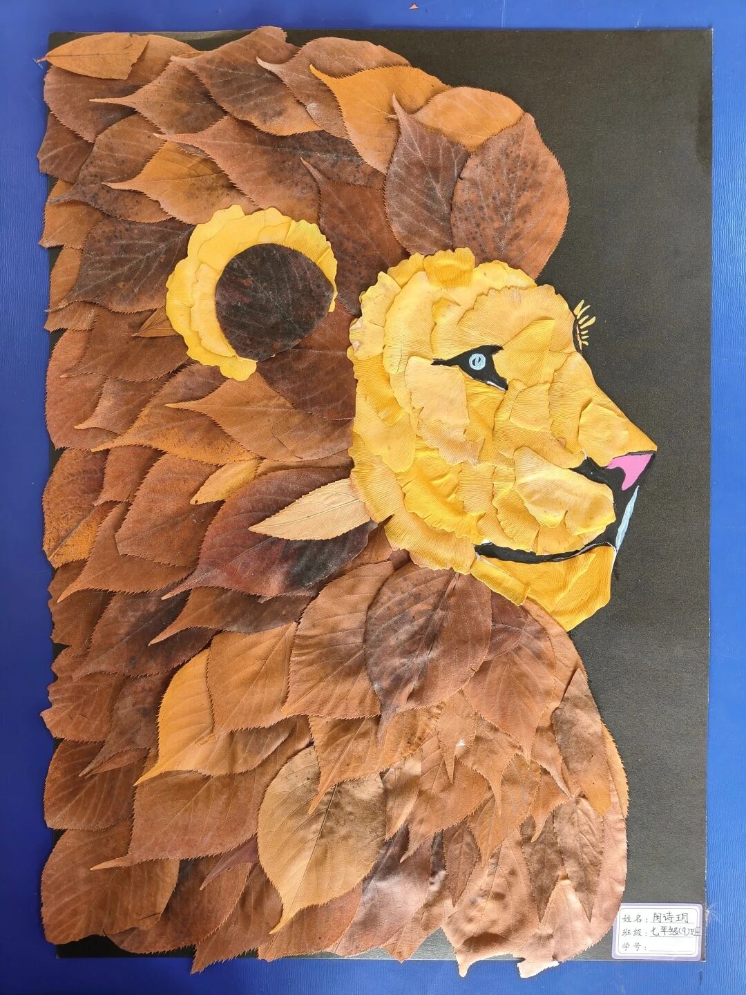兰州东方学校（初中部）第九届创意落叶标本设计大赛活动纪实