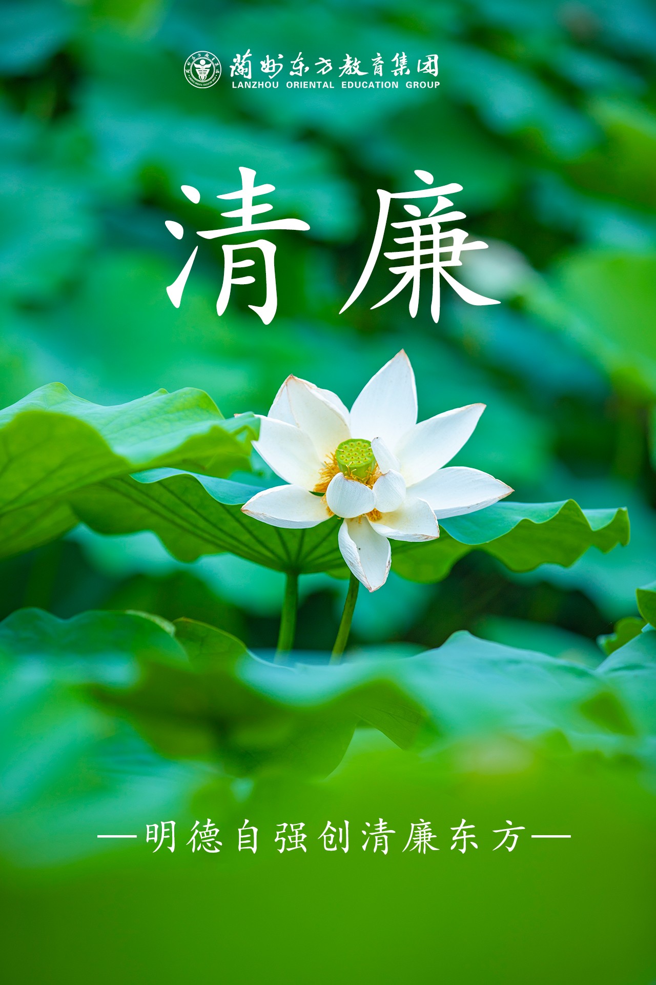 清廉校园 | 兰州东方教育集团师德师风问题监督举报办法公告