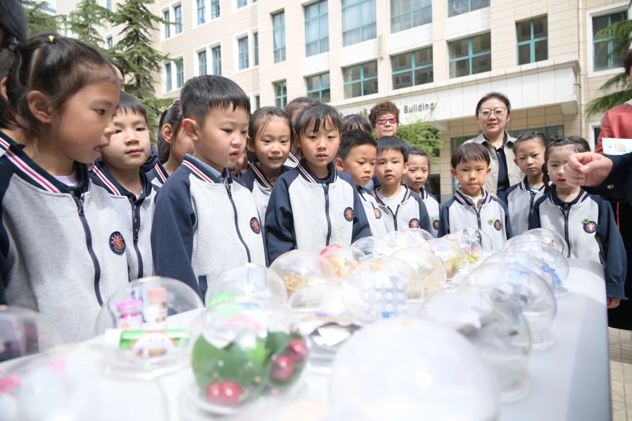 筑牢青春防毒墙 守护校园纯净天​ | 区禁毒办赴我校开展禁毒知识科普宣传教育活动