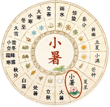小暑至 盛夏启 | 兰州东方学校（小学部）科学教研组带你了解二十四节气之小暑